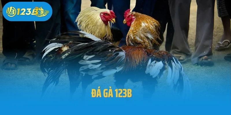 Đá Gà 123B – Trận Chiến Nảy Lửa Cùng Những Chiến Kê Hàng Đầu