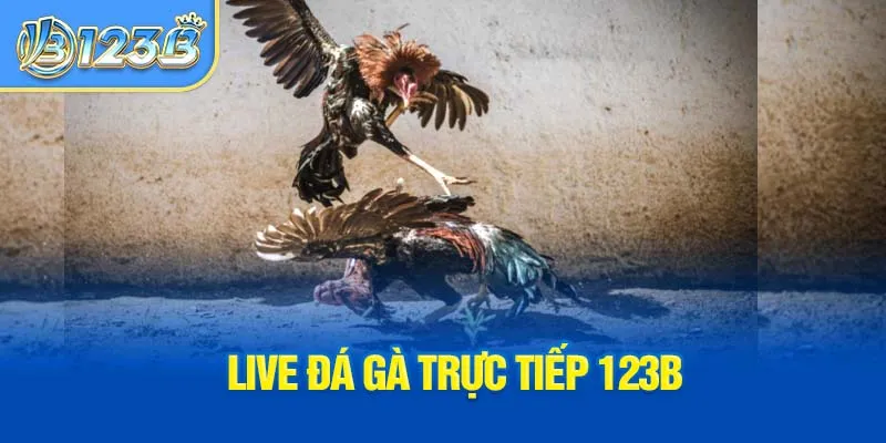 live-da-ga-truc-tiep-123b_2_11zon